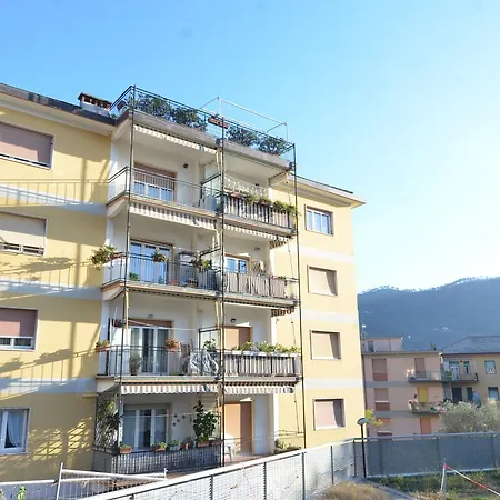 Glicine * Levanto